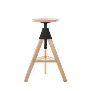 Tom - The Wild Bunch