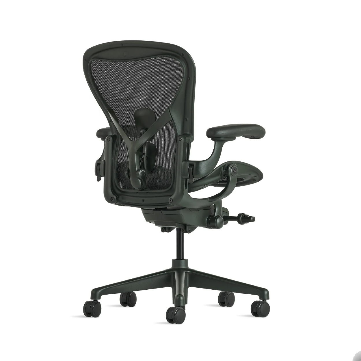 Aeron-Jasper-AER1B23DWALPDJ2DJ2DJ2BBDJ423121-verso